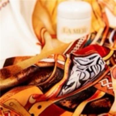 wholesale quality hermes blankets model no. 29